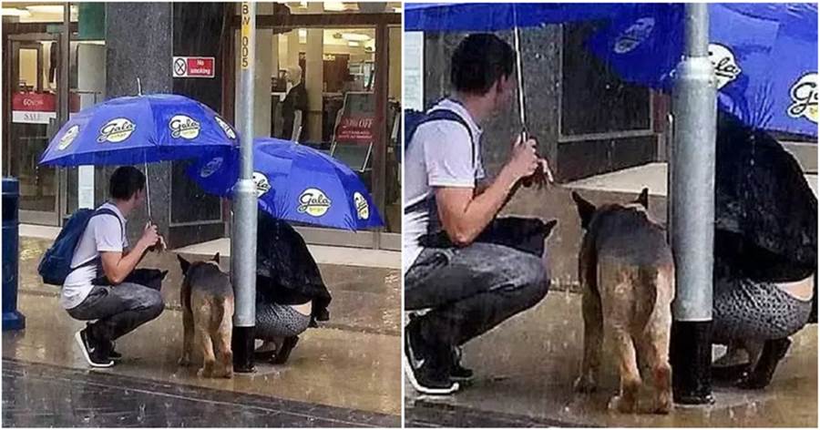 狗狗被拴在路燈旁淋著暴雨，情侶看見後脫下外套幫牠擋雨，陪牠等待主人
