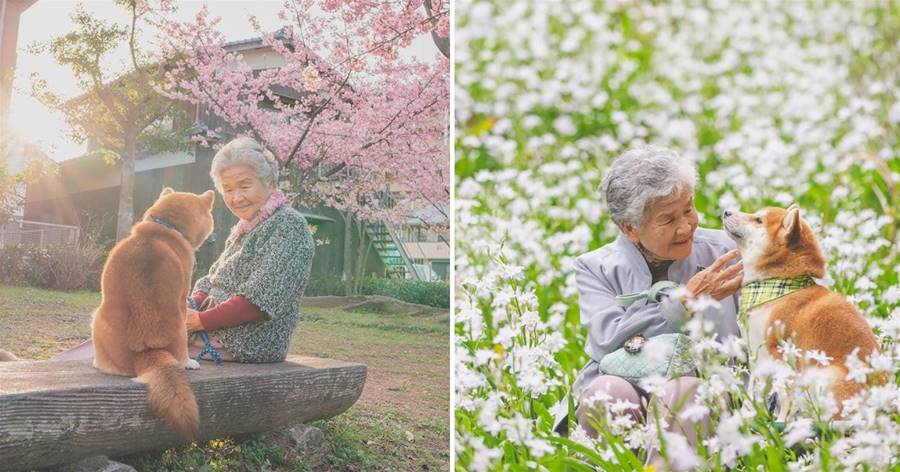 攝影師記錄奶奶與柴柴的祖孫情：永遠記住這份回憶
